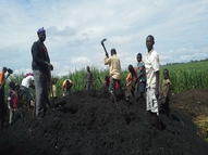 Urine Re-use for Sunflower Farming and School Wash (URW)