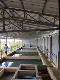 FLC to build PWO portfolio – Chamroeun